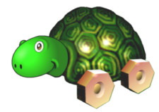 turtle.jpg